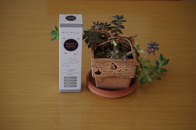 トリニティーホワイト1