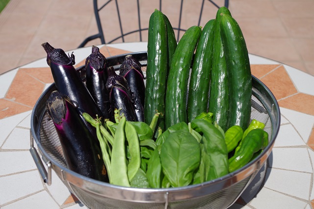 トリニティー野菜①